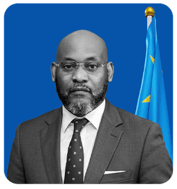 Son Excellence Luyeye Ndokolo Joyce, Ministre provincial