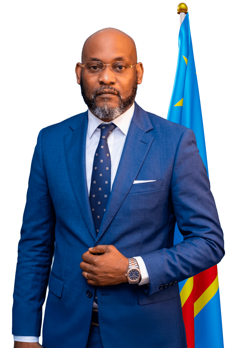 Portrait officiel de Son Excellence Luyeye Ndokolo Joyce, Ministre Provincial