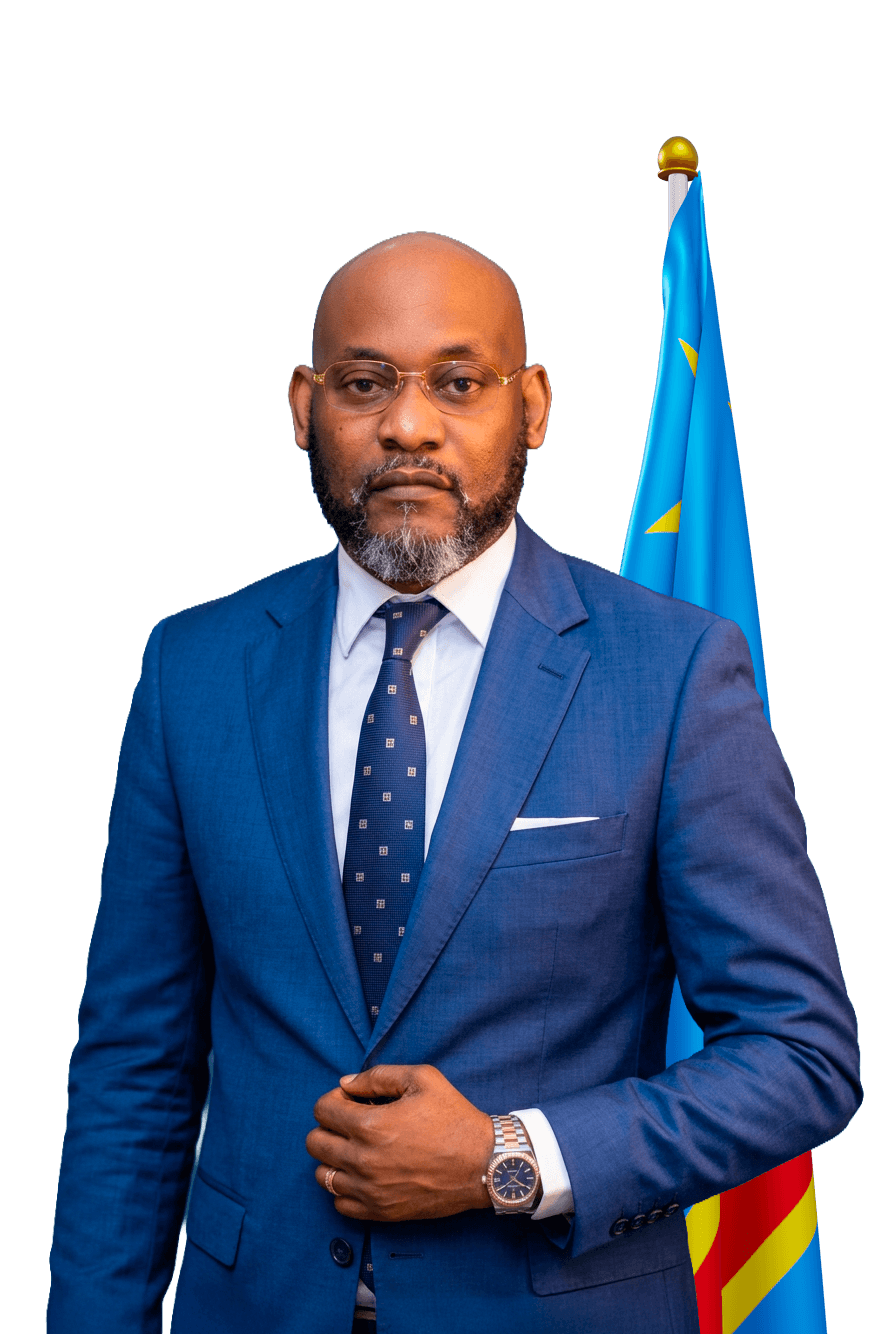 Portrait officiel de Son Excellence Luyeye Ndokolo Joyce